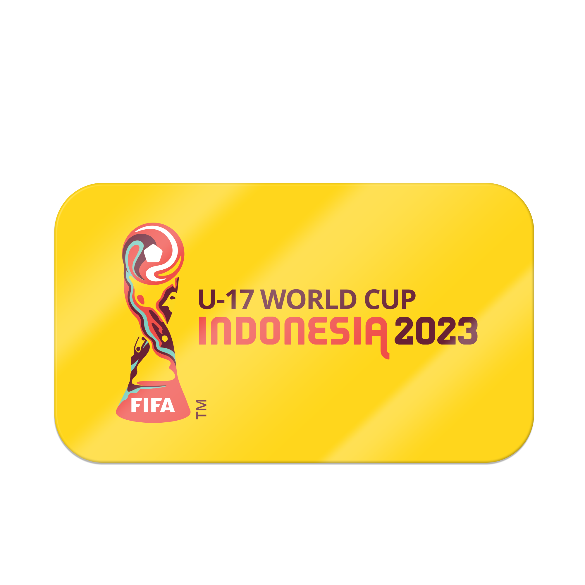 Juaraga FIFA U-17 World Cup Sticker Pack - The Game