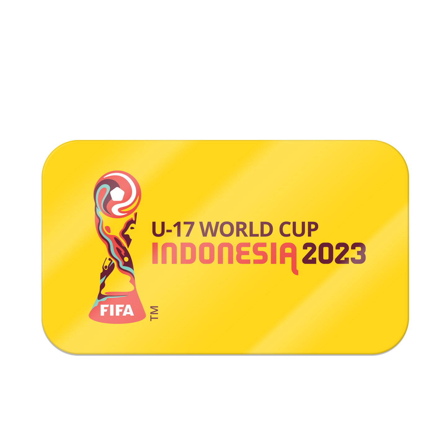 Juaraga FIFA U-17 World Cup Sticker Pack - The Game